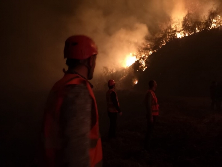 Arhavi’deki Orman Yangını Kontrol Altına Alındı