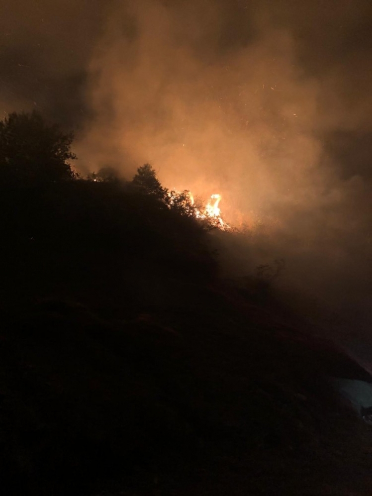 Artvin’de Orman Yangını