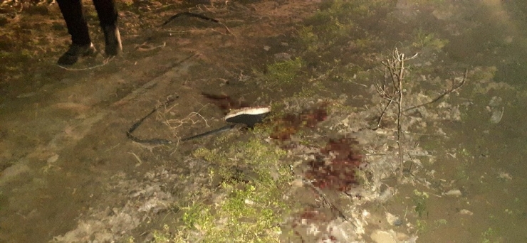 Yengesine Kurşun Yağdırdı