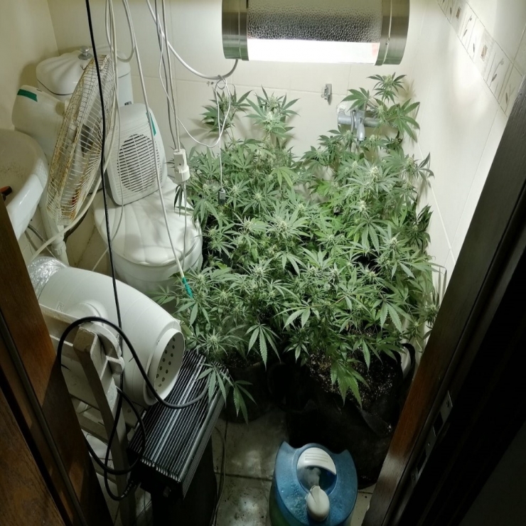 Çanakkale’de Uyuşturucu Operasyonu: 1 Gözaltı