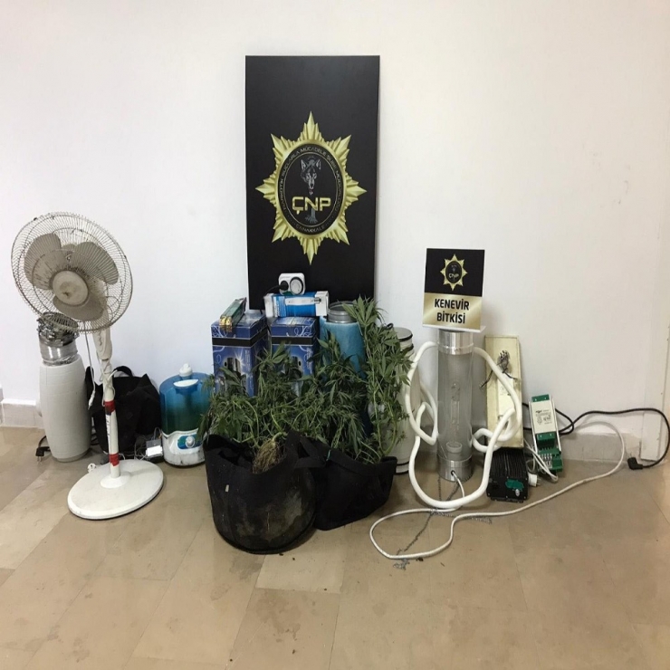 Çanakkale’de Uyuşturucu Operasyonu: 1 Gözaltı