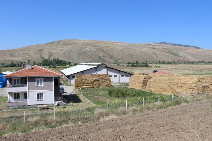 Tkdk Desteğiyle Ab Standartlarında Süt Üretim Çiftliği Kurdu