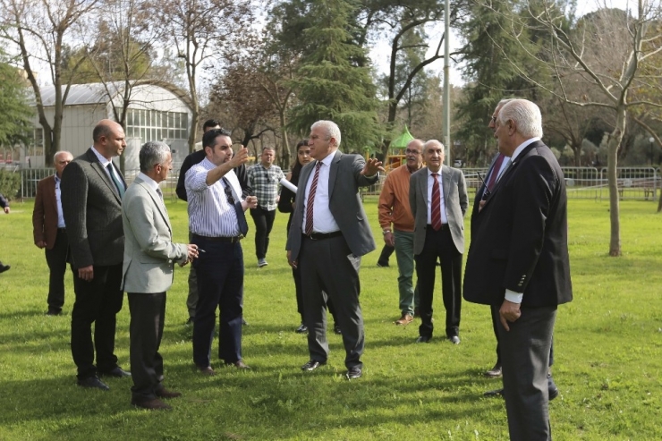 Efeler’de Festival Heyecanı