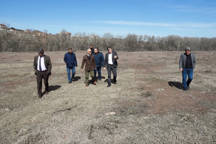 Eogü’de Tıbbi Ve Aromatik Bitki Bahçesi Kurulacak