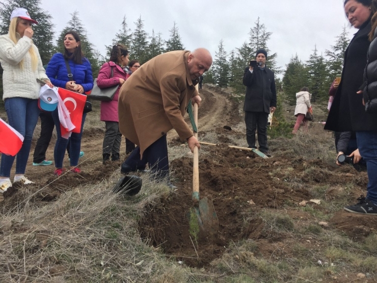 Hak-iş İdlib Şehitleri Anısına Yüzlerce Fidanı Toprakla Buluşturdu