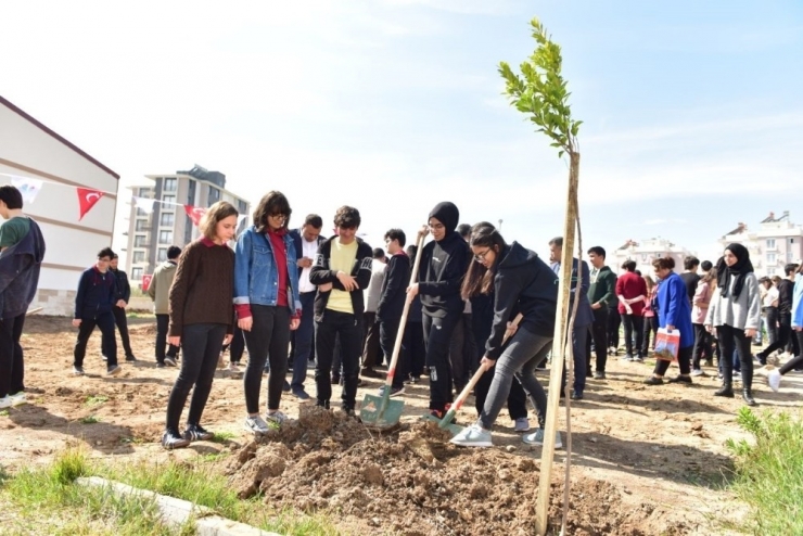 Kepez’den 2 Okula 106 Ağaç