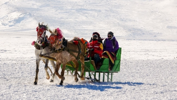 Çıldır Gölü Rengârenk