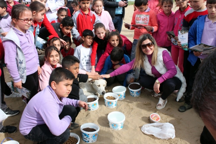 Sokak Hayvanları İçin Sahile Yiyecek Bıraktılar