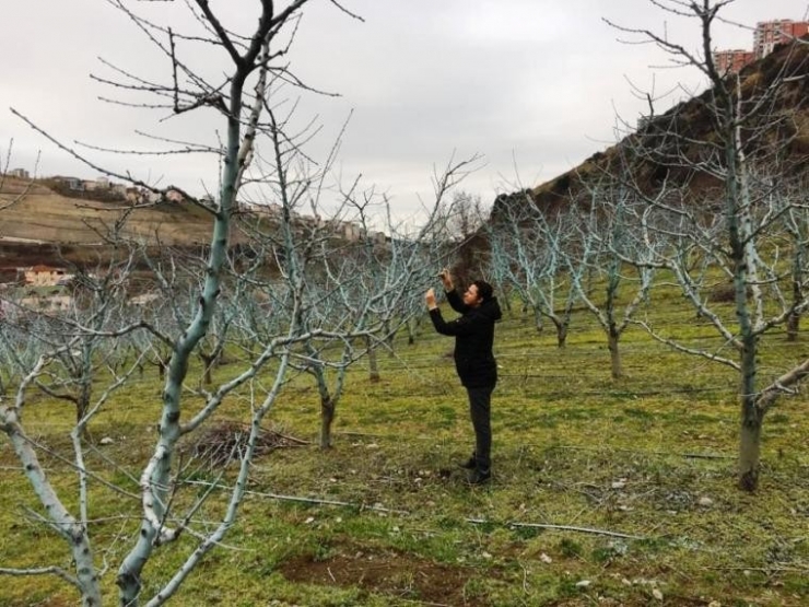 Çiftçilere “Bordo Bulamacı” Uyarısı