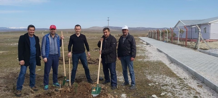 Şehitler İçin İlçe Stadı Etrafına Ağaç Dikildi