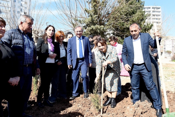 Başkan Akay Ve Kadınlar Fidan Dikti