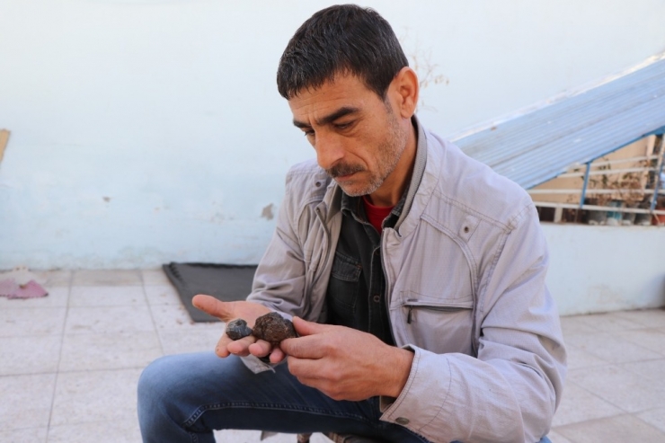 Piknik Yaptığı Alanda Bulduğu Taşların Gök Taşı Olduğunu İddia Etti