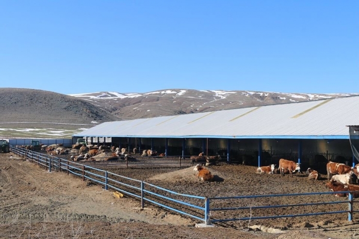 Kaymakam Akgöz’den Çiftlik Ziyaretleri