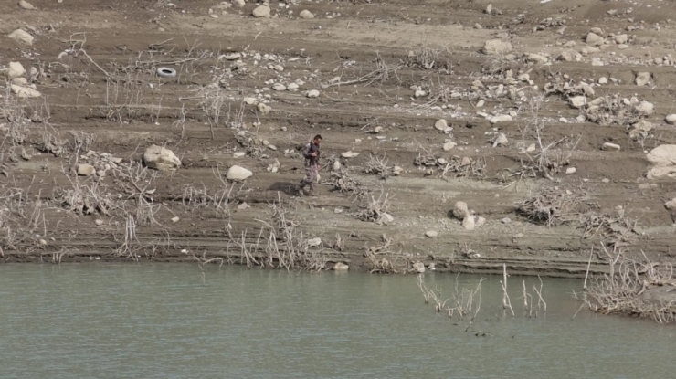 Kayıp Gülistan İçin Detaylı Kıyı Taraması Başlatıldı