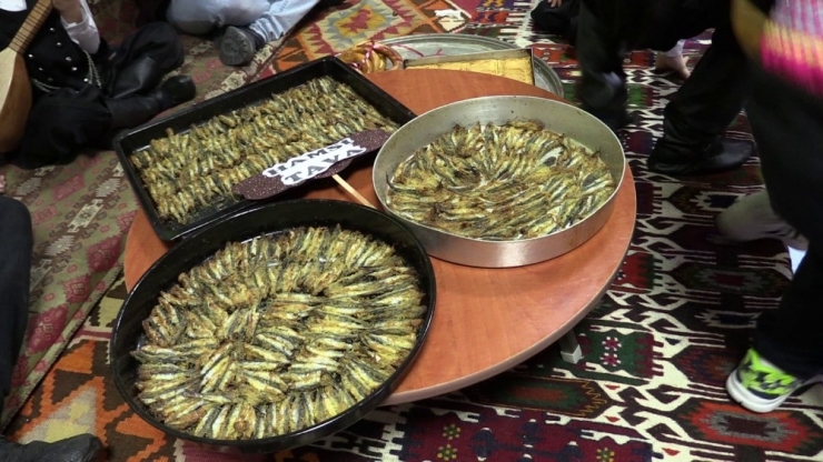 Minikler Karadeniz Kültürüyle Tanıştı, Horon Tepip Hamsi Tava Yaptı