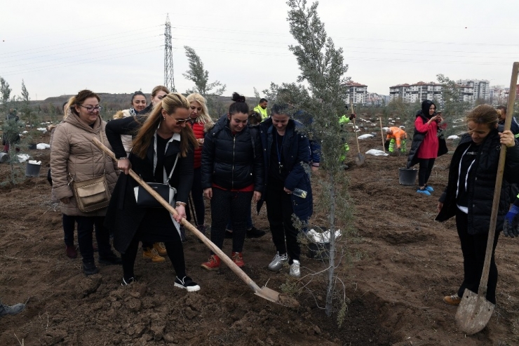 474 Kadının Adı Hatıra Ormanında Yaşayacak
