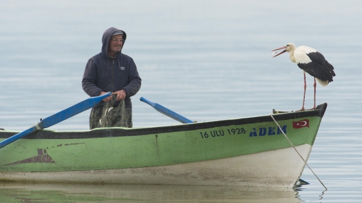 Binlerce Kişi Onun Gelmesini Bekliyordu...nihayet Geldi