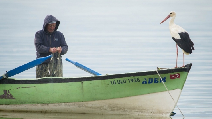 Binlerce Kişi Onun Gelmesini Bekliyordu...nihayet Geldi