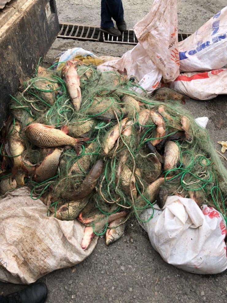 Jandarma’dan Kaçak Balık Avcılarına Operasyon