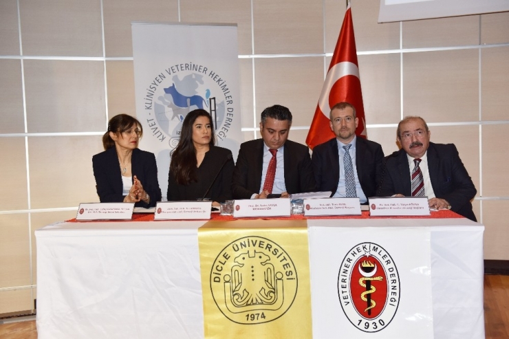 Veteriner Hekimler Öğrencilerle Bir Araya Geldi