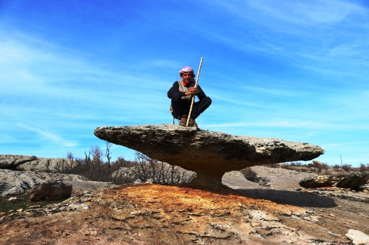 Asırlık Mantar Kaya Görenleri Hayrete Düşürüyor