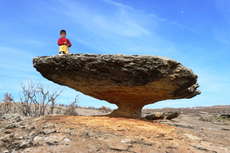 Asırlık Mantar Kaya Görenleri Hayrete Düşürüyor
