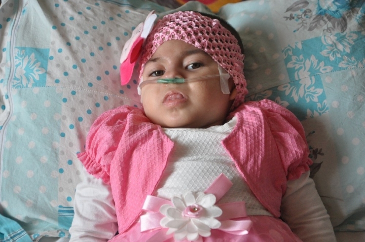 Yüksekovalı Minik Maral’ın Yaşam Mücadelesi