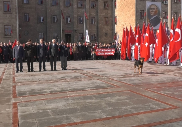 Sokak Köpeği Törenin İlgi Odağı Oldu
