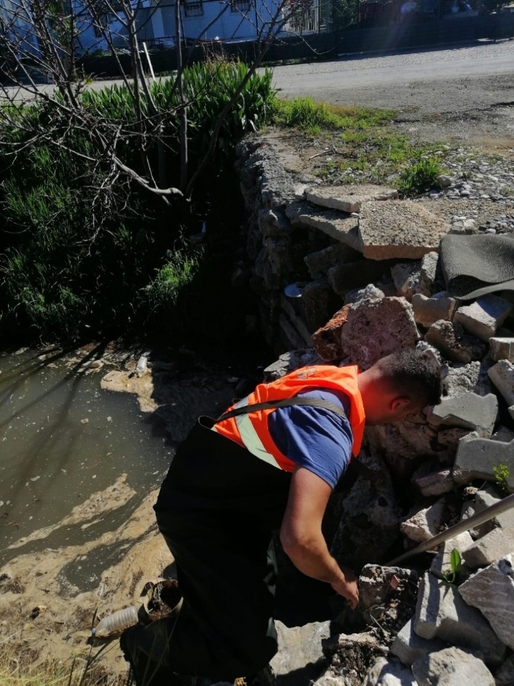 Su Giderinde Mahsur Kalan Köpeği İtfaiye Kurtardı