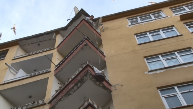 Rizeli Genç Kadın Kanadı Balkondaki Saksı İle Demir Korkuluk Arasına Sıkışan Martıyı Kıvrak Zekası İle Kurtardı