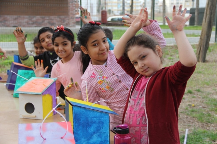 Samsun’da Kuşlar İçin Rengarenk Yuvalar