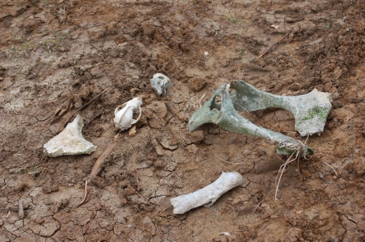 Kayıp Adam İçin İkinci Kazı