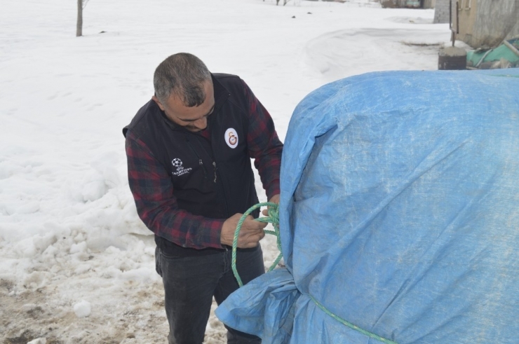 Fareler Çiftçileri Bezdirdi