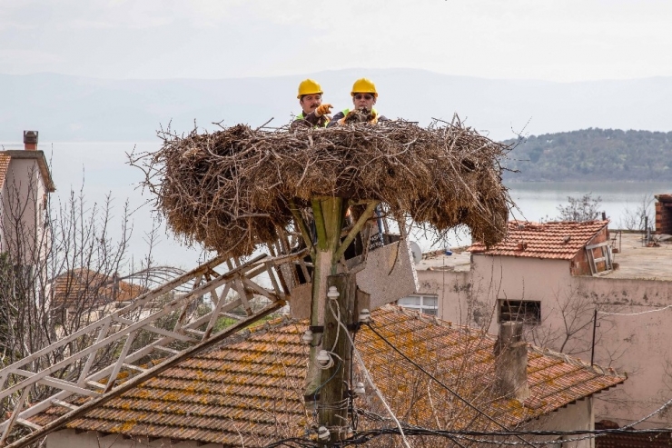 Eskikarağaç Leylek Köyü Bahara Hazır