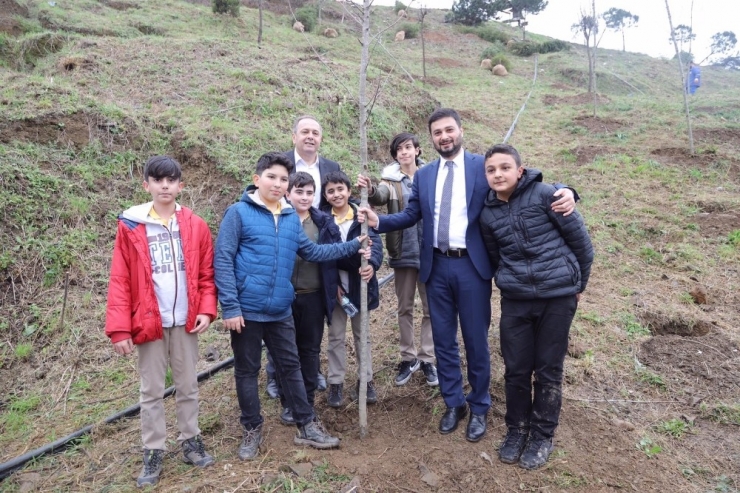 Kağıthane’de Yeşil Alanlar Arttırılıyor