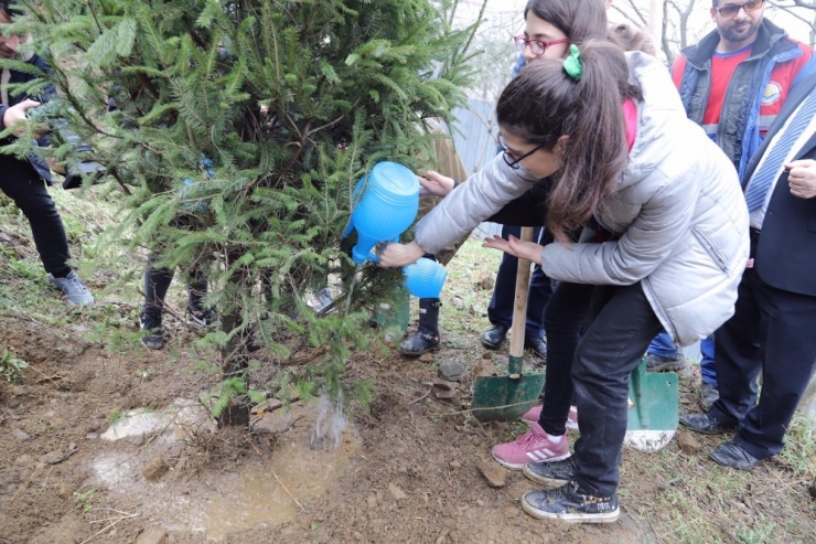 Kağıthane’de Yeşil Alanlar Arttırılıyor