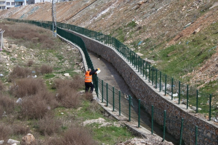 Kahta Belediyesi Larva Üreme Noktalarını İlaçlıyor
