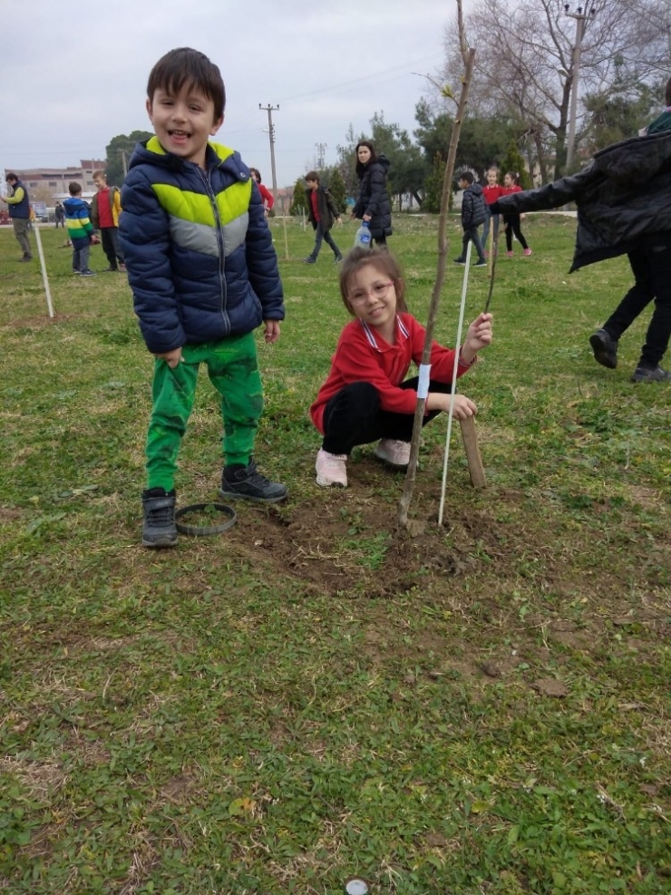 Baharın Gelişini Fidan Dikerek Kutladılar