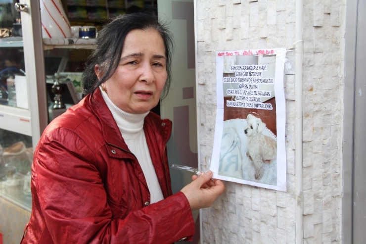 ‘Kartopu’yu Bulanı Ödüllendirecek