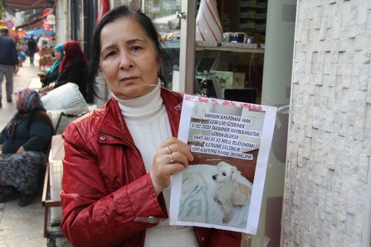 ‘Kartopu’yu Bulanı Ödüllendirecek