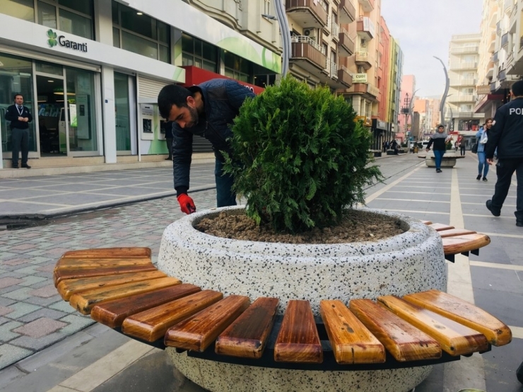 Cizre’de Yeşillendirme Çalışmaları Aralıksız Devam Ediyor