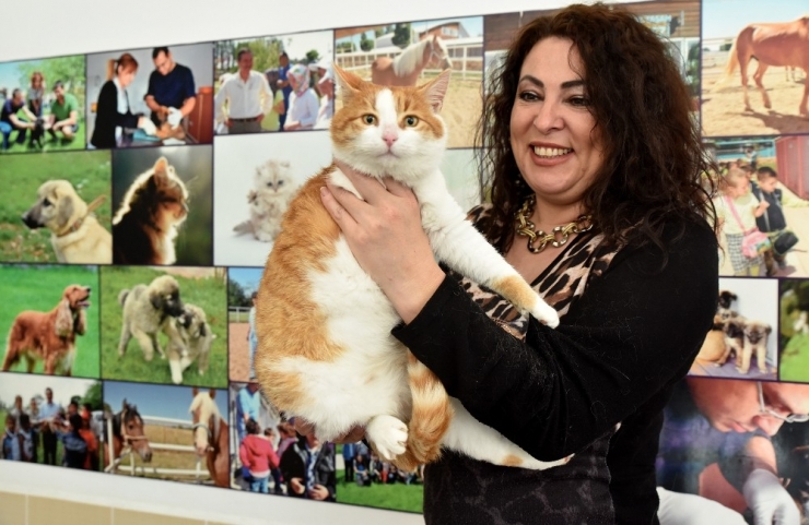 Duyarlı Eskişehir Halkı Engelli 32 Kedi Ve Köpeği Sahiplendi