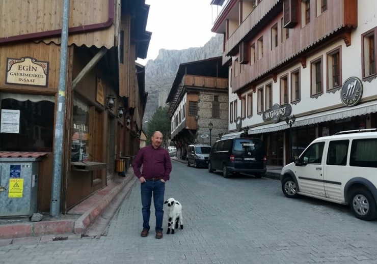 5 Günlükken Annesini Kaybeden Sevimli Kuzu İlçenin Maskotu Oldu