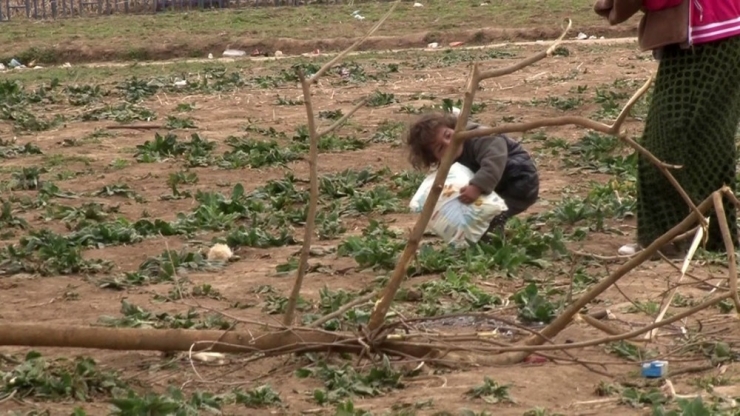 Suriyeli Minik Mültecinin Ağır Yükü