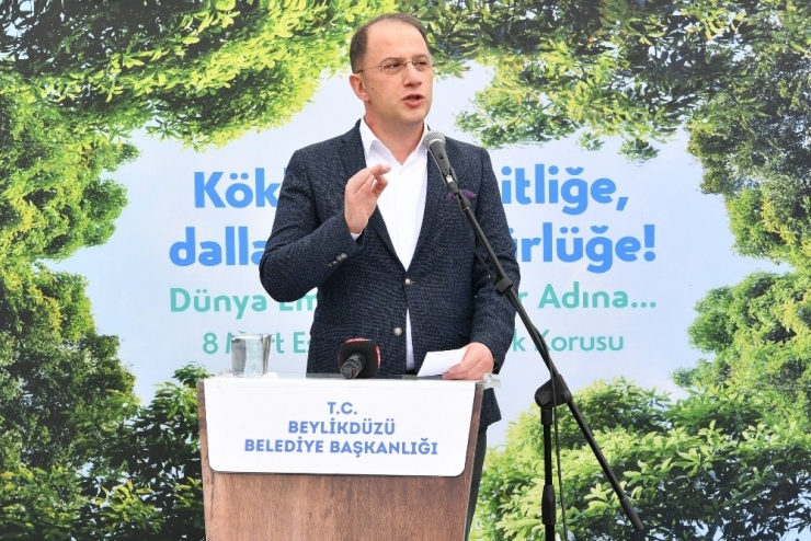 Beylikdüzü’nde 350 Yetişkin Ağaç Eşitlik Ve Özgürlük İçin Dikildi