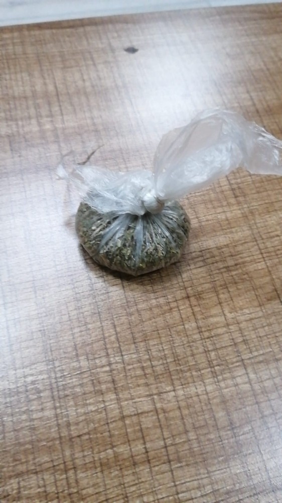 Bolu’da, Bonzai İle Yakalanan Şahıs Adliyeye Sevk Edildi