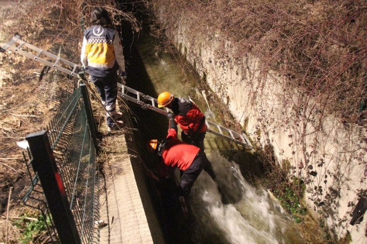 Bolu’da, Sulama Kanalına Düşen Yaşlı Adamı İtfaiye Kurtardı