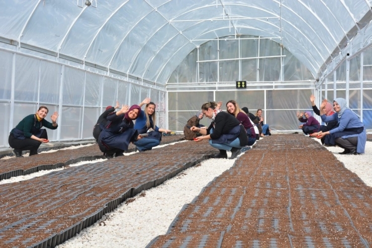 Kızıltepeli Kadınlar Dünya Kadınlar Günü’nde Kooperatif Kurdu