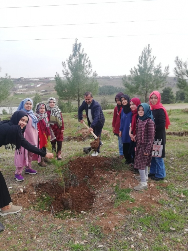 Ortaokul Öğrencileri Fidan Dikti