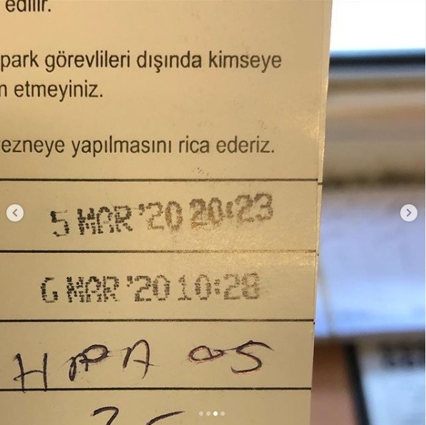 Kliniğe Emanet Ettiği Köpeği Kaçtı, 20 Bin Tl’lik Tazminat Davası Açtı